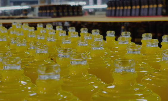 Initiatives vertes dans la fabrication de bouteilles d'alcool