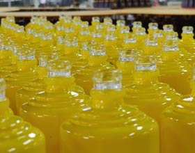 Initiatives vertes dans la fabrication de bouteilles d'alcool