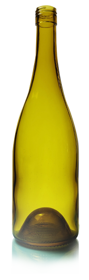 Bouteilles en verre de vin
